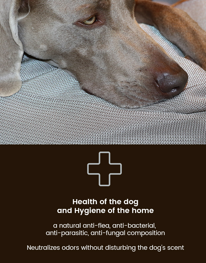 dog\'s cushion hypoallergenic, anti-flea, anti-bacteria, anti-odor